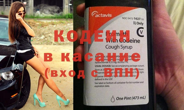 хмурый Алзамай