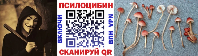МЕГА вход  Карпинск  Псилоцибиновые грибы Psilocybe 